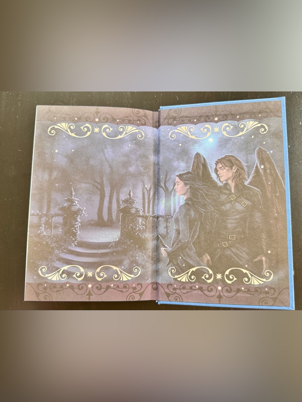 OwlCrate Special Edition of the Crowns of Nyaxia series by Carissa Broadbent - Picture 7 of 16